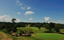 鷹羽ロイヤルCCの販売価格情報